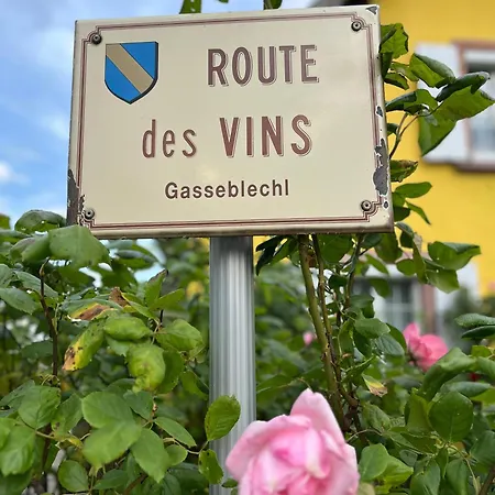 La Terasse Des Vignes - Maison 2 Chambres - 4 Personnes Blienschwiller Buitenkant foto