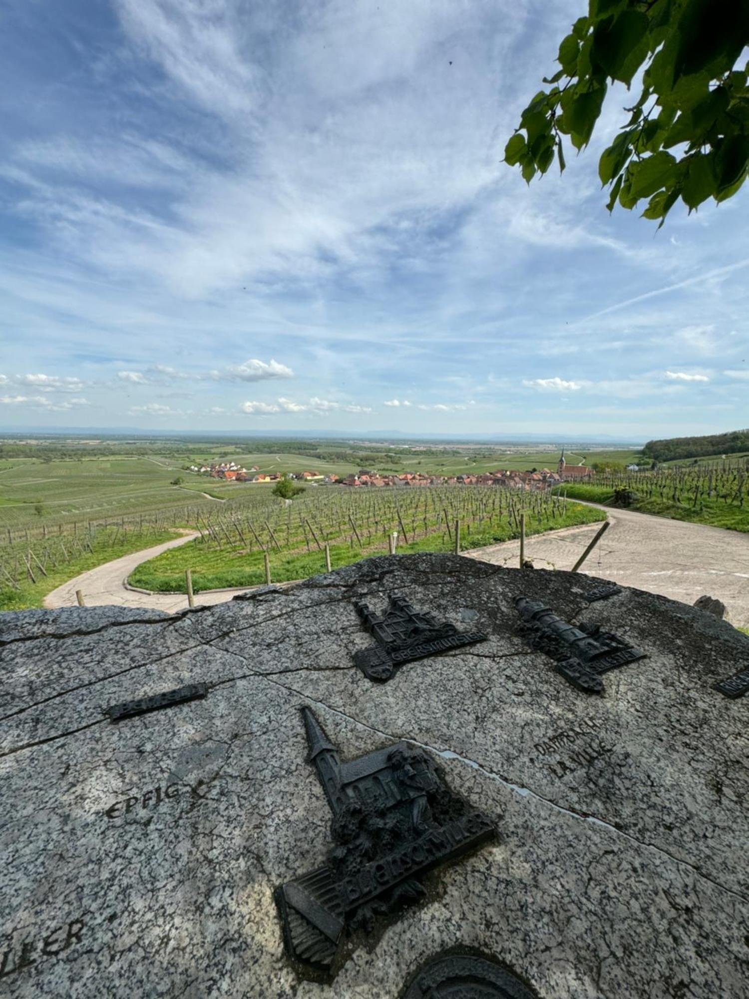La Terasse Des Vignes - Maison 2 - 4 Personnes * Blienschwiller